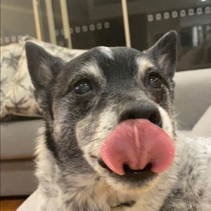 Meet your Posher, Jordan